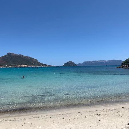 Appartamenti Le Primule Golfo Aranci Exteriér fotografie