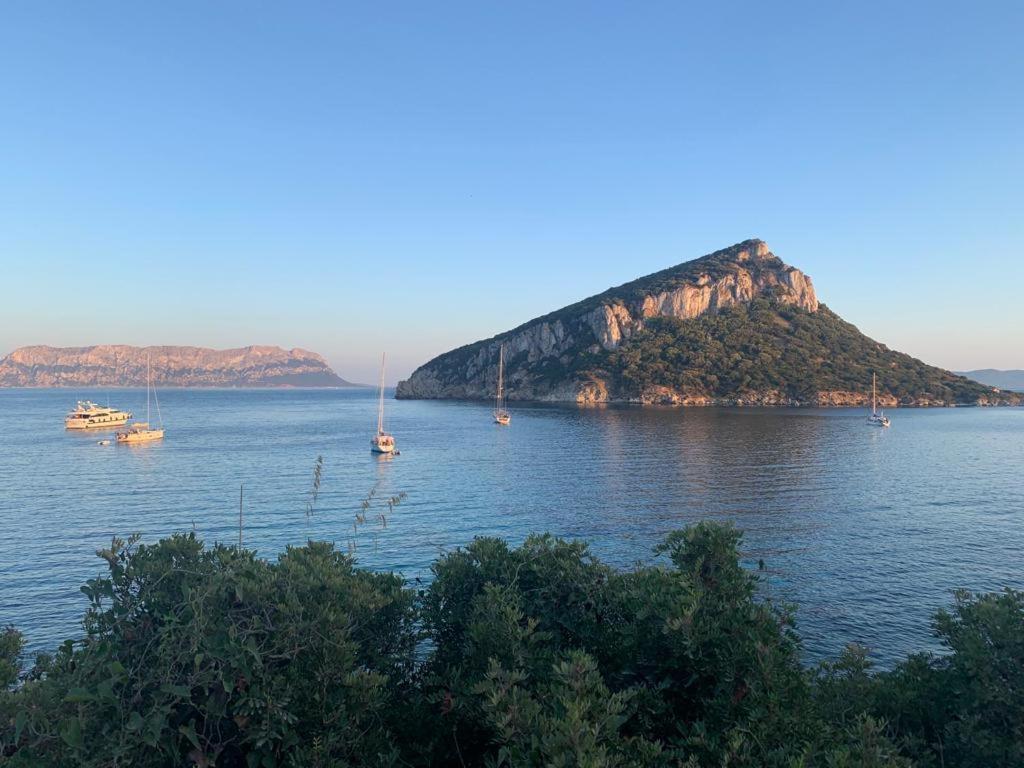 Appartamenti Le Primule Golfo Aranci Exteriér fotografie