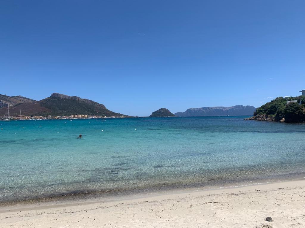 Appartamenti Le Primule Golfo Aranci Exteriér fotografie